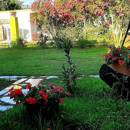 Kolonia E Artistave Lägenhet Velipojë Exteriör bild