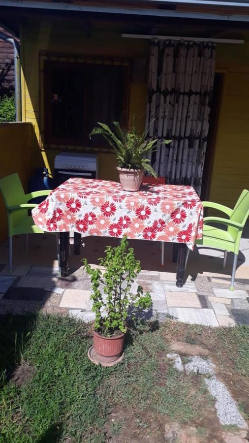 Kolonia E Artistave Lägenhet Velipojë Exteriör bild